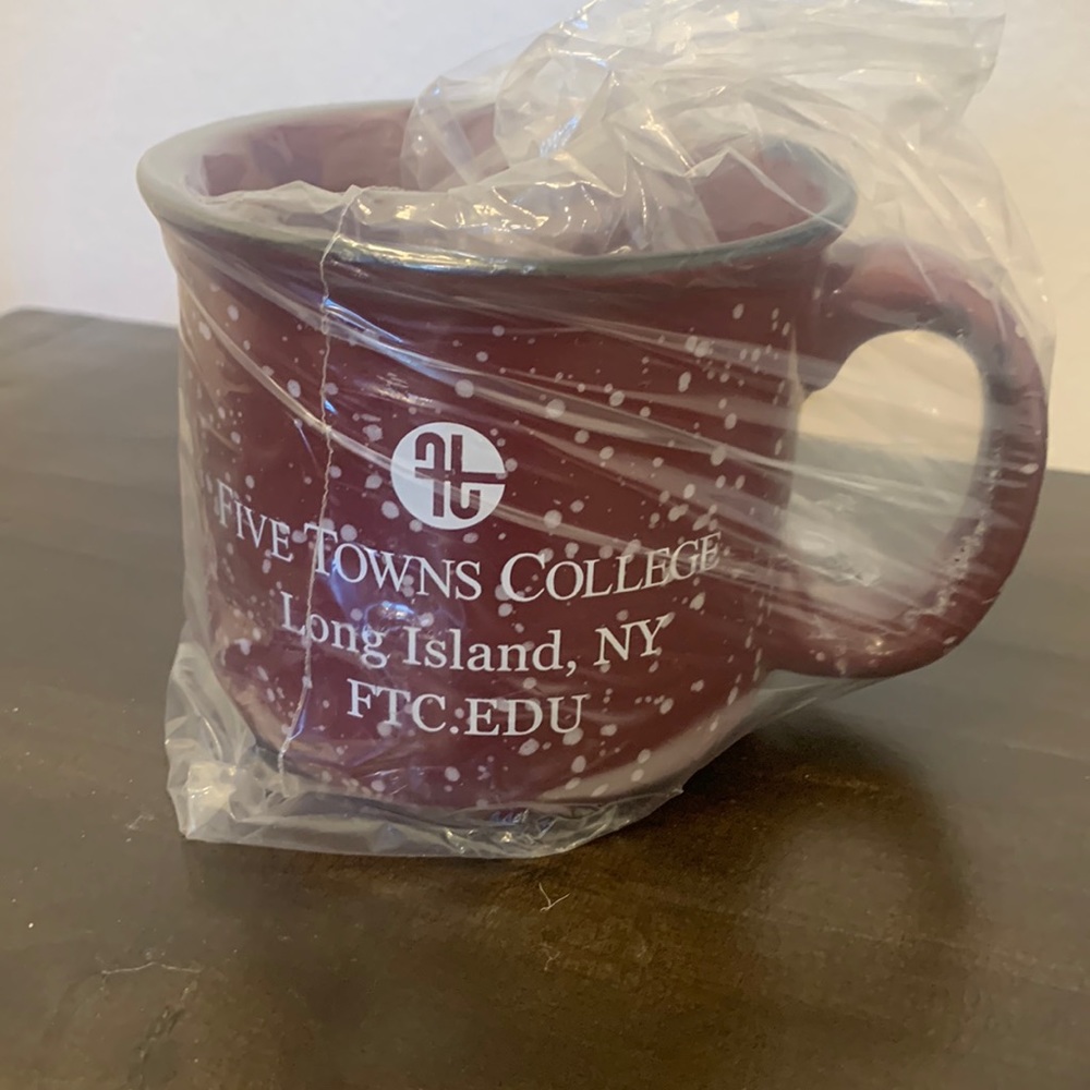Five Towns College Mug NEW